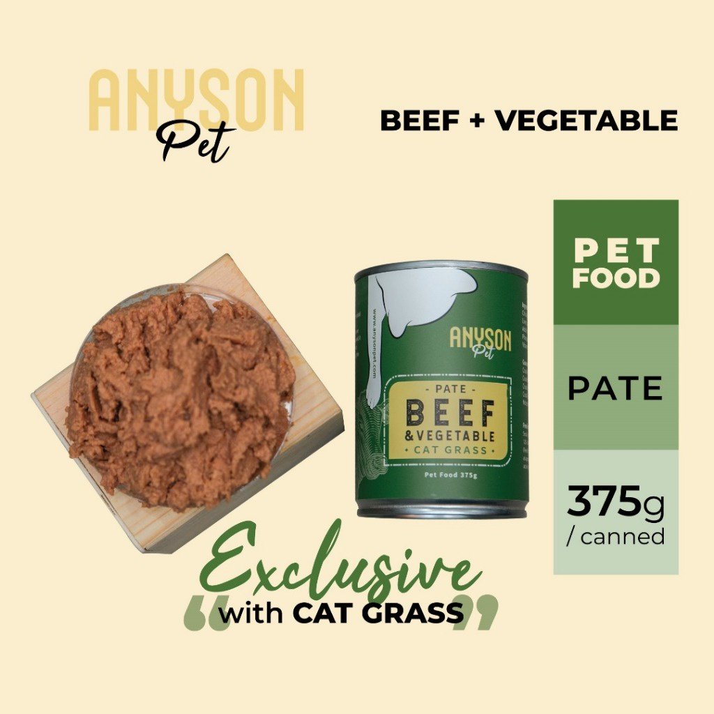 Anyson Pet Canned Wet Cat Food With Cat Grass 375g